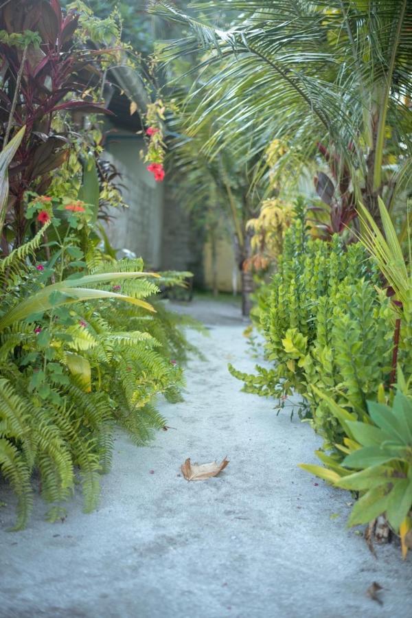 Hotel Malas Island View Fulidhoo Esterno foto