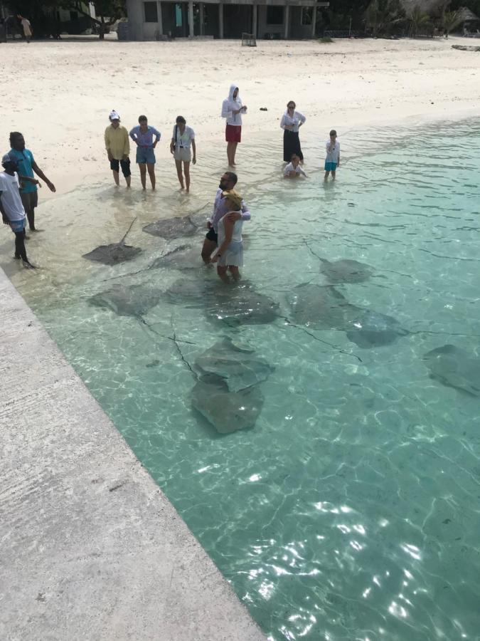 Hotel Malas Island View Fulidhoo Esterno foto