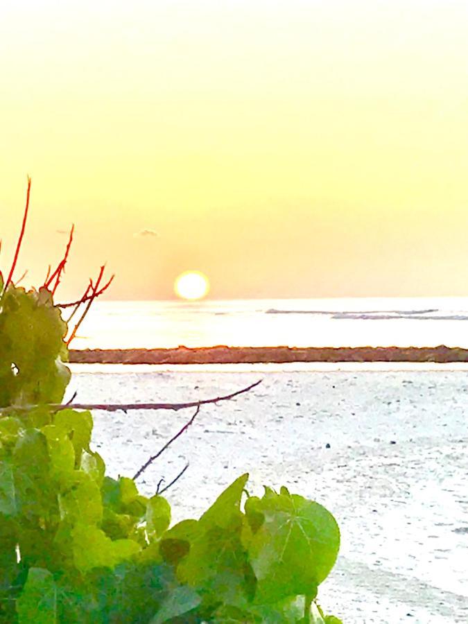 Hotel Malas Island View Fulidhoo Esterno foto