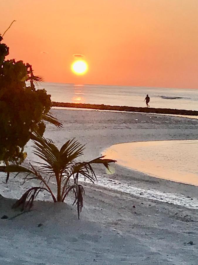 Hotel Malas Island View Fulidhoo Esterno foto