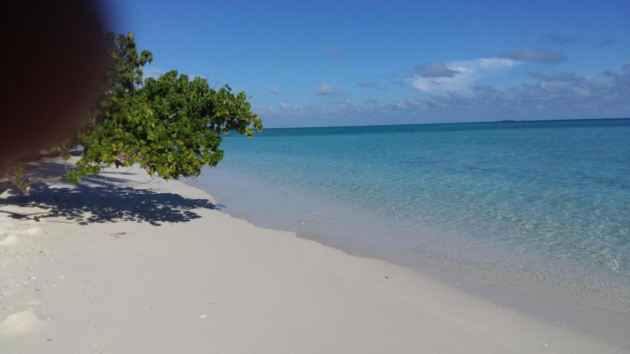 Hotel Malas Island View Fulidhoo Esterno foto